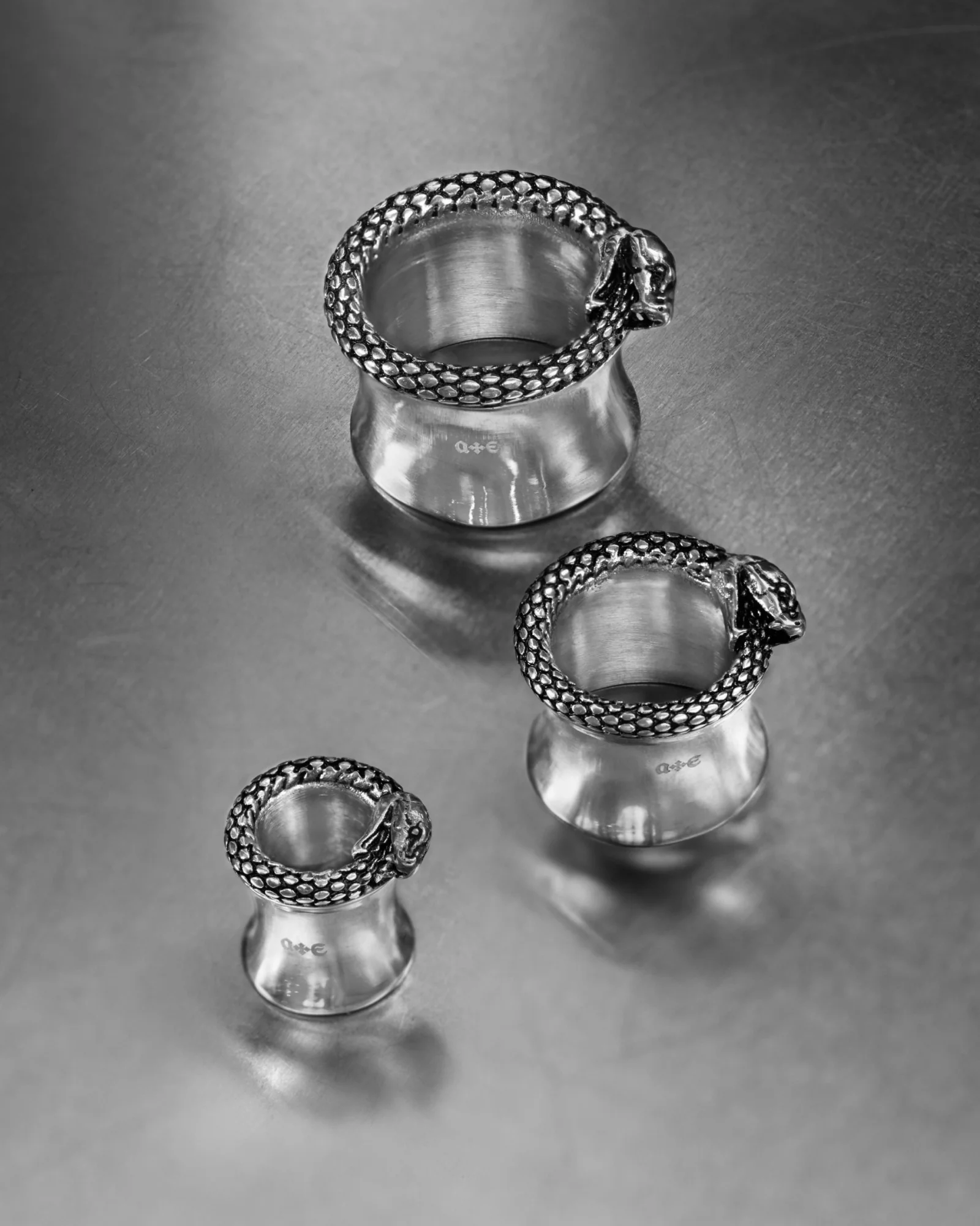 Ouroboros Tunnels - Image 6